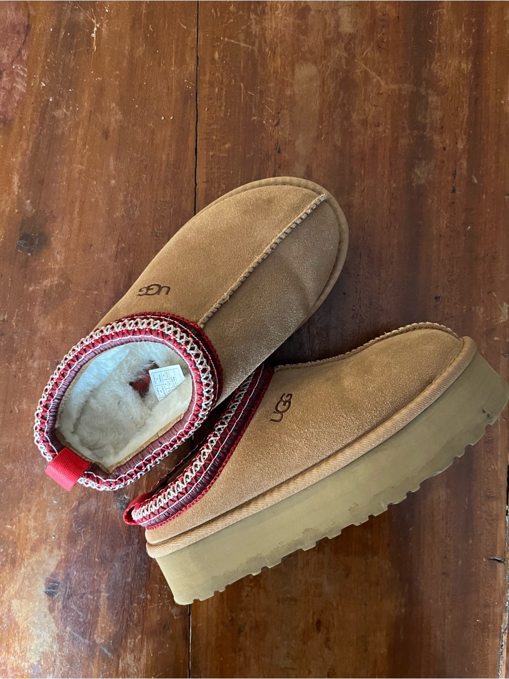 Platform UGG Tasmans